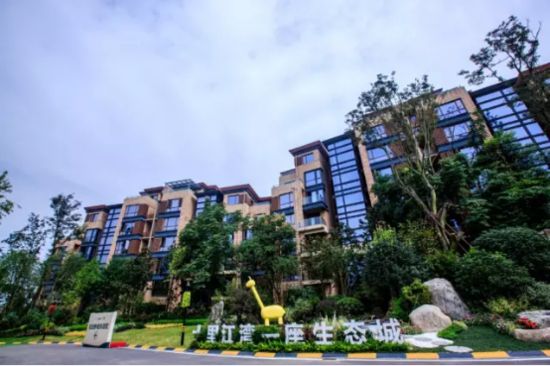 碧桂園集團(tuán)（瀘州碧桂園）